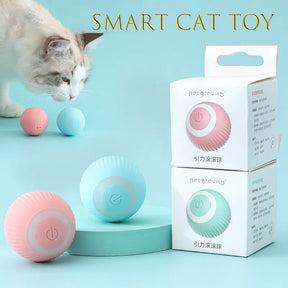 Smart Cat Toys